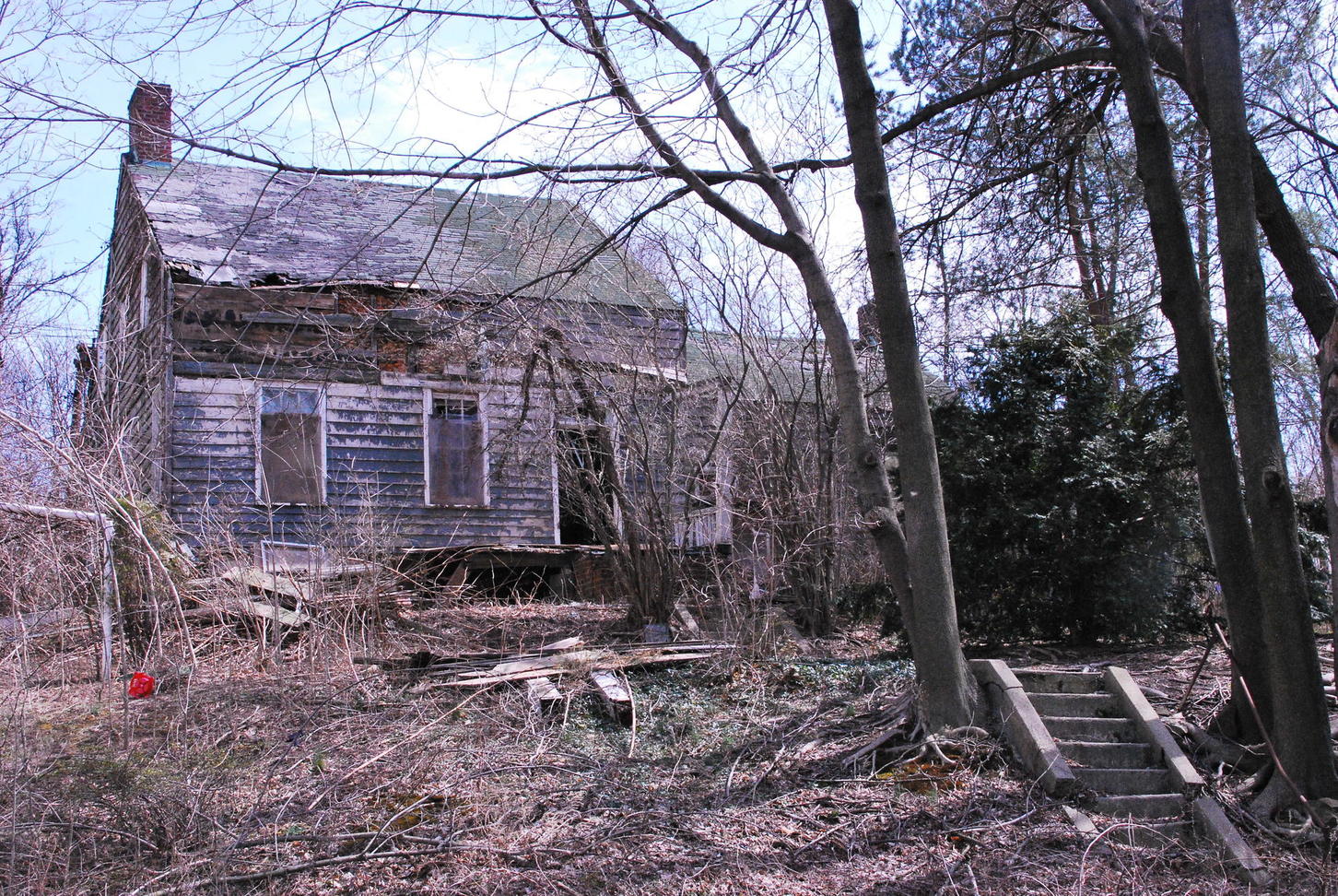 Collins House