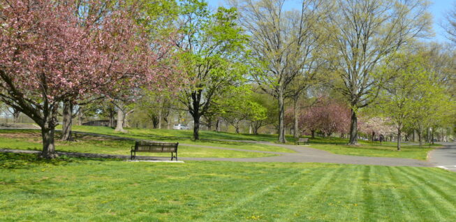 Rahway River Park