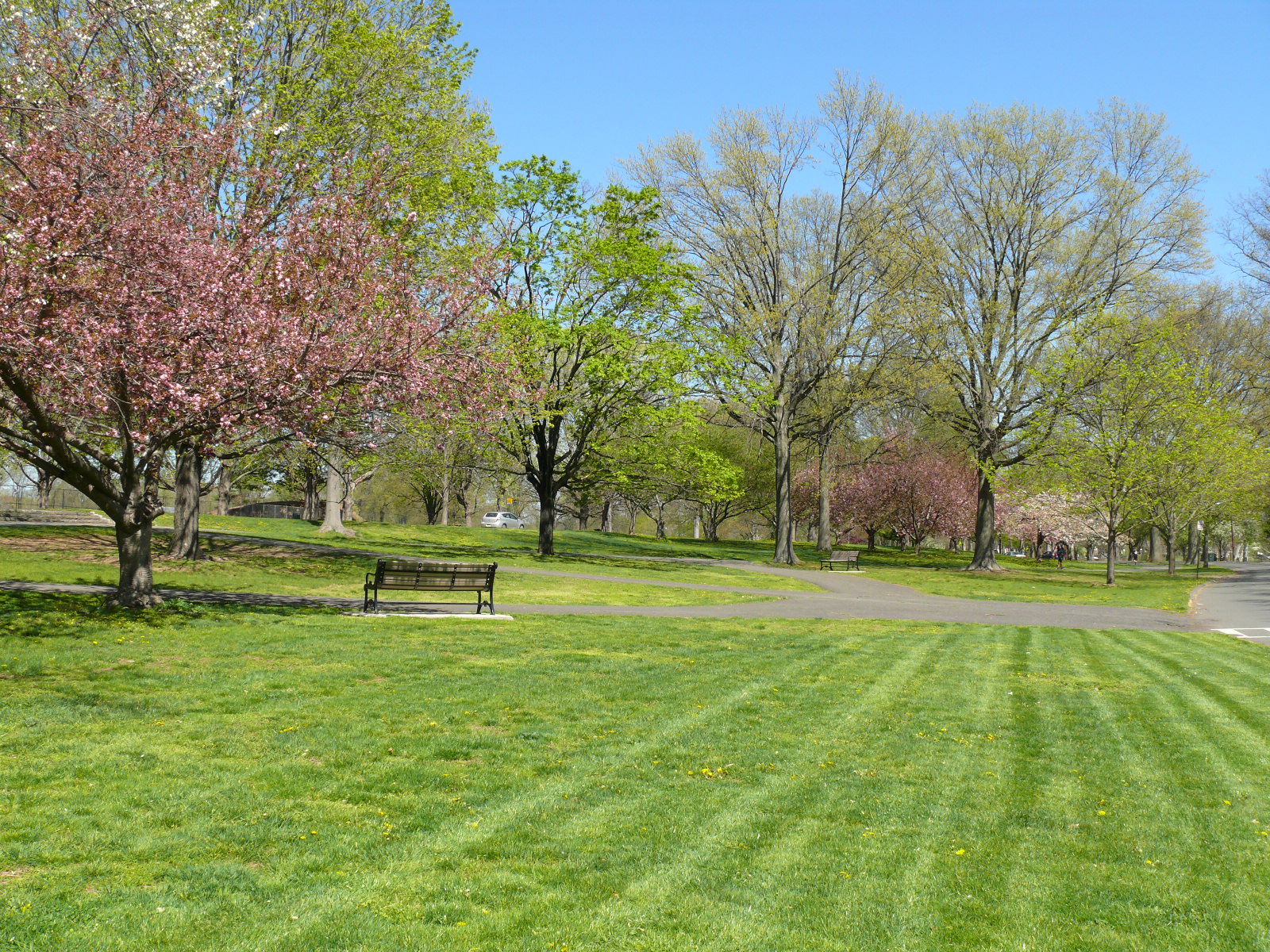 Rahway River Park
