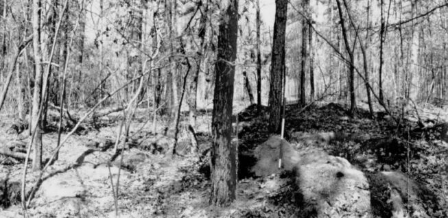 Indian Head Site