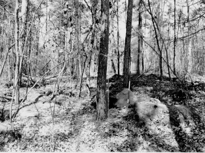 Indian Head Site