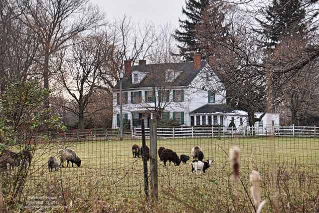 Hogan Farm