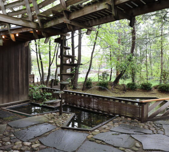 Preserving an Ever-Changing Landscape: A Look at the James Rose Center