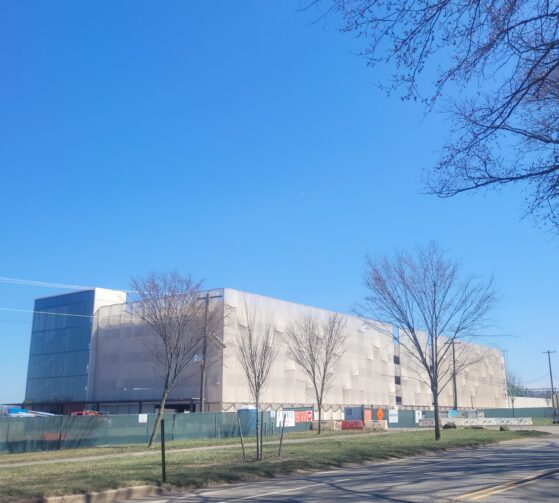 Update on Washington Road Elm Allee District – 2000 Preservation NJ 10 Most Endangered Listing