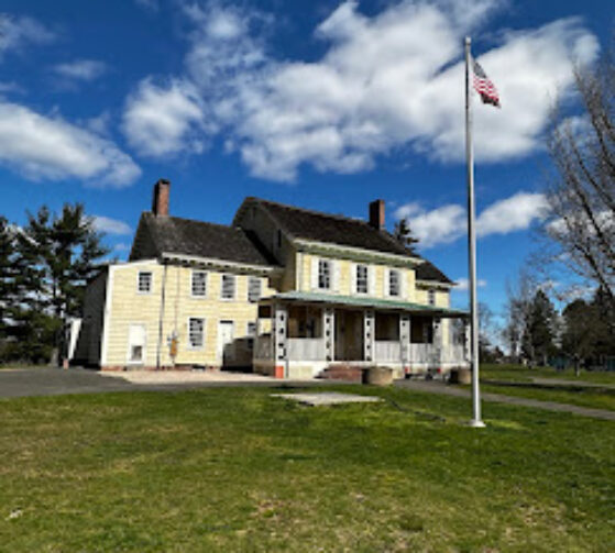Ruins and Resistance: The Fight to Preserve Homestead Plantation