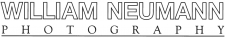 Logo Scan WNP Only