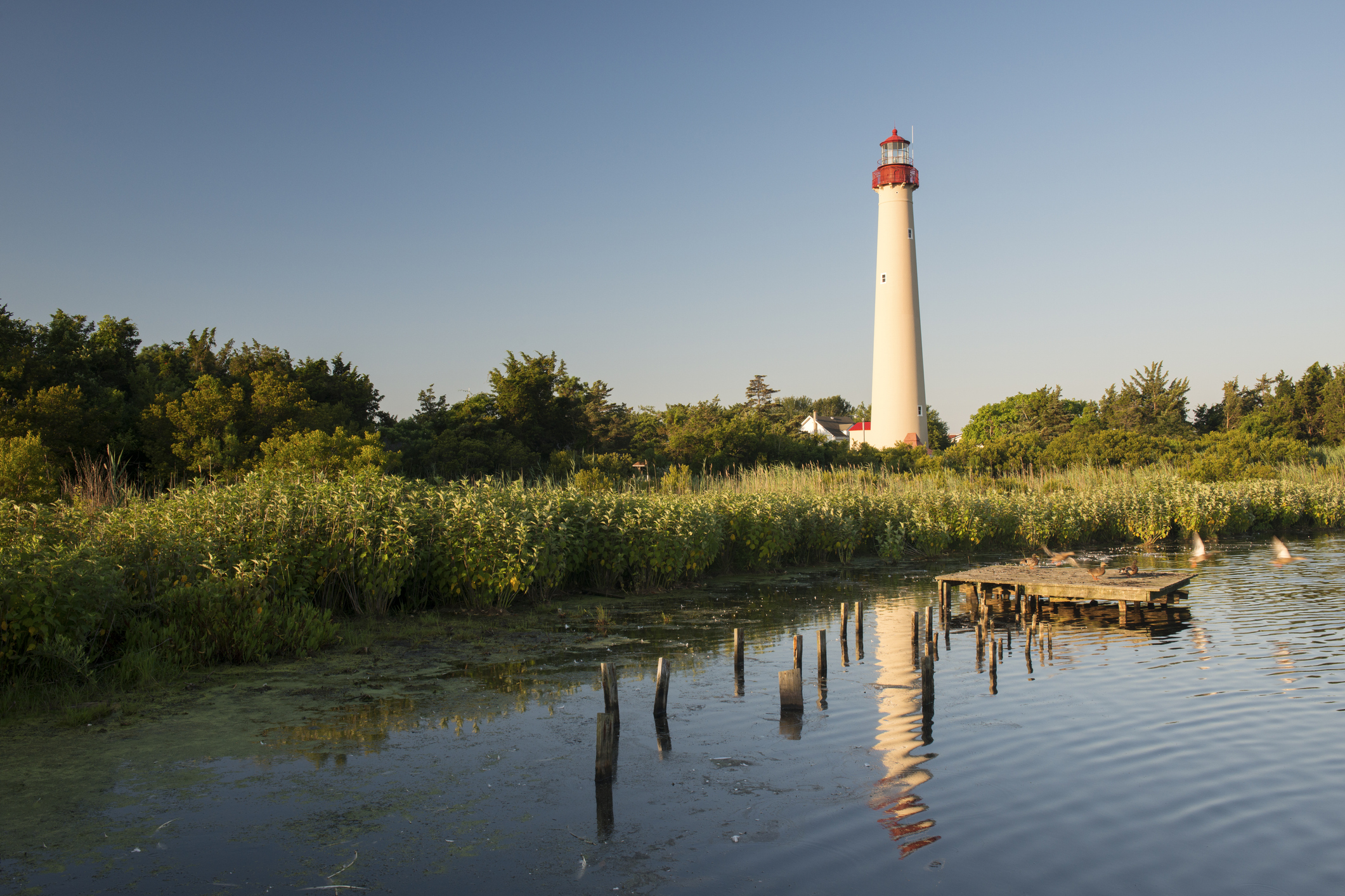 Remarks to the Delaware Bay Lighthouse Keepers & Friends Association