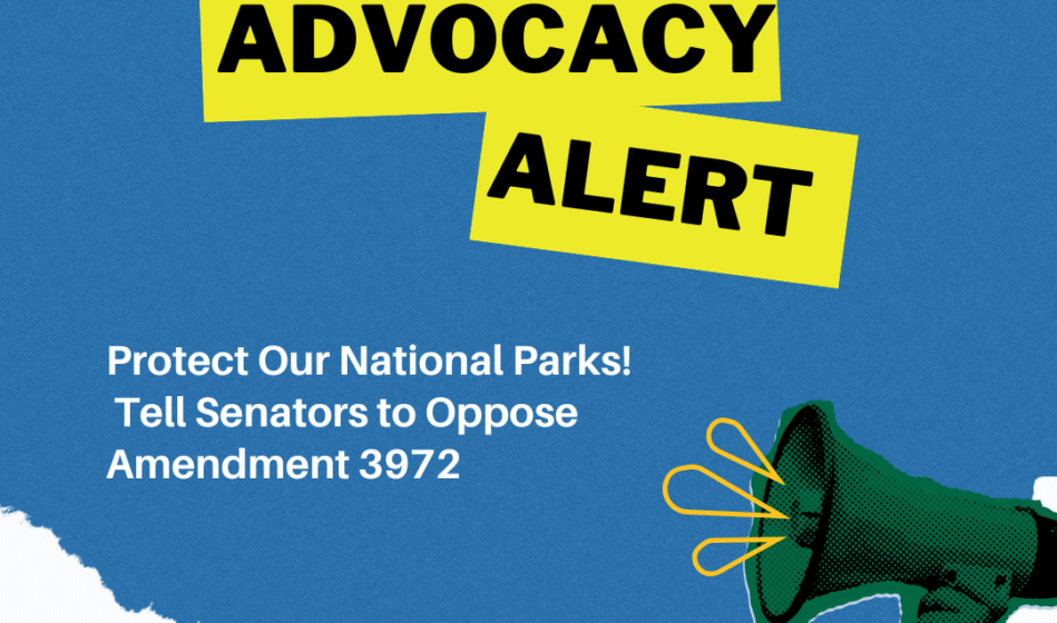 Action Needed: Protect Our National Parks from Sell-Off