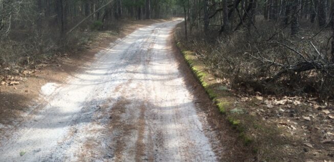 Historic South Jersey Roads