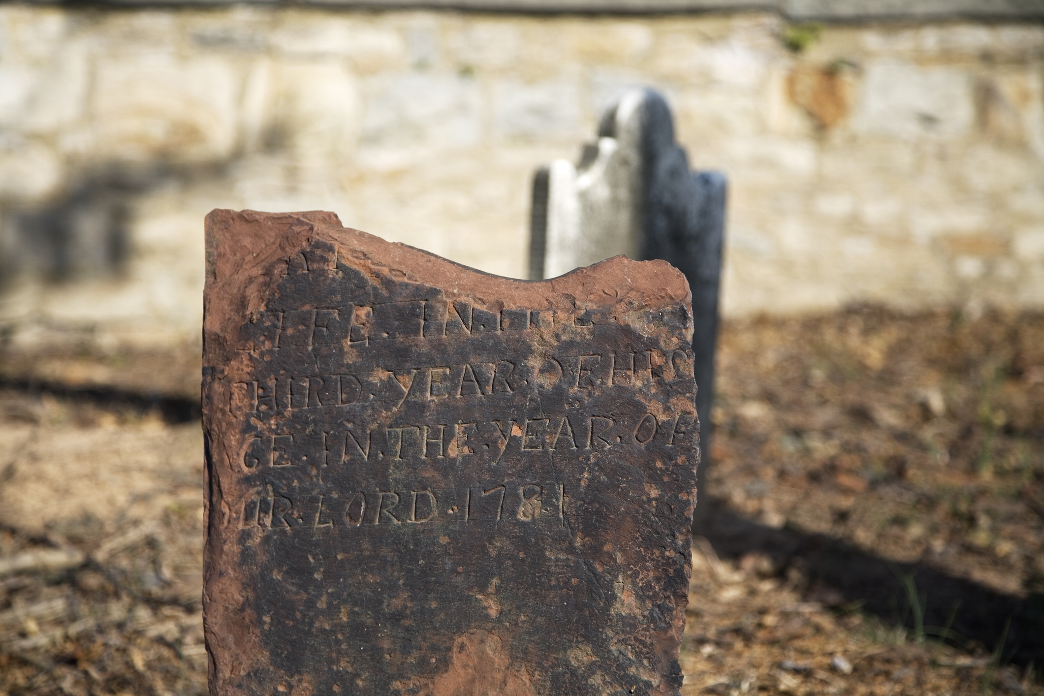 Protect New Jersey’s Forgotten Burial Grounds: PNJ Launches Campaign for A3475 and A5448