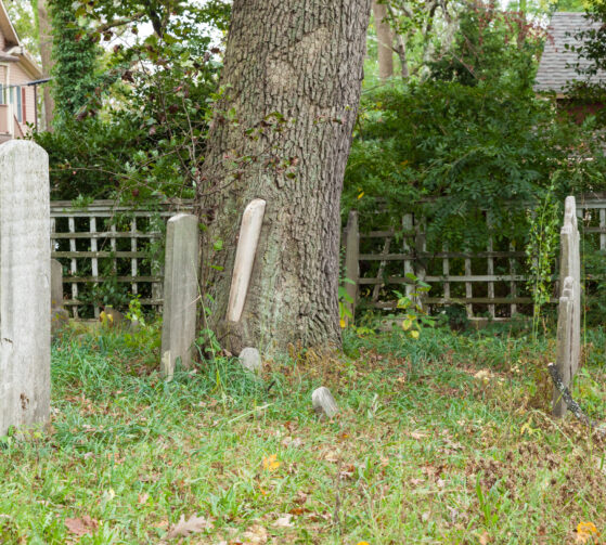 A New Bill Hopes to Make Destroying Historic Cemeteries a Criminal Offense with Steeper Fines