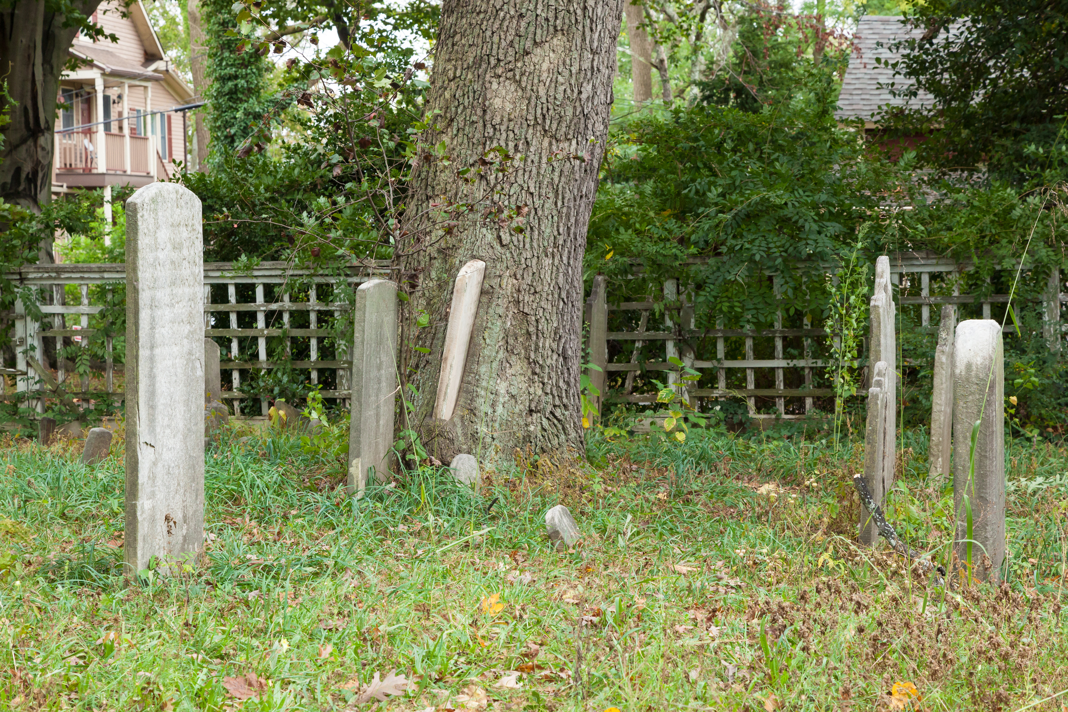 A New Bill Hopes to Make Destroying Historic Cemeteries a Criminal Offense with Steeper Fines